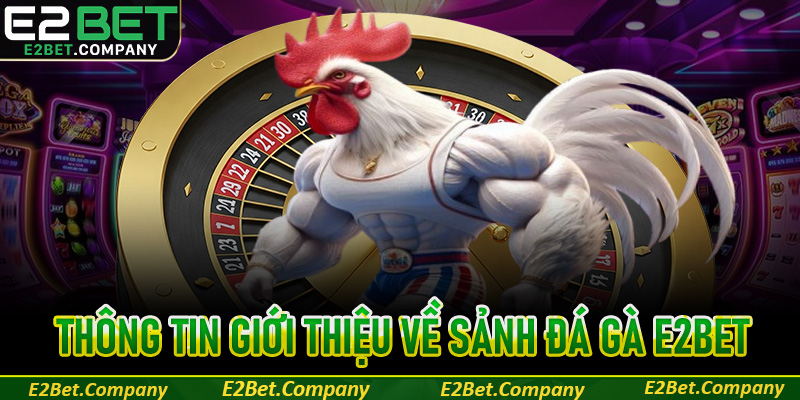 Giới thiệu thông tin về sảnh game đá gà E2BET