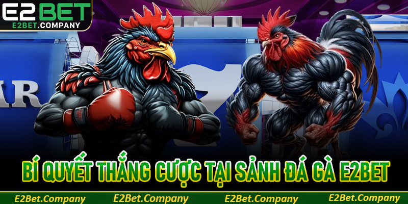 Bí quyết cá cược đá gà tại E2BET giúp tăng tỷ lệ chiến thắng