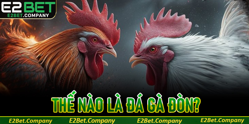 Thế nào là đá gà đòn?