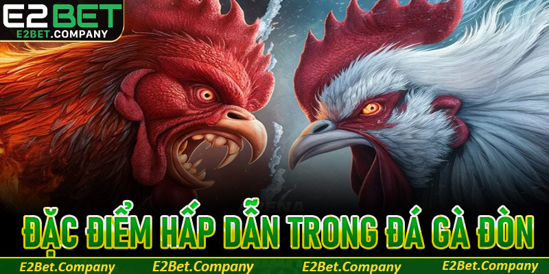 Những đặc điểm hấp dẫn trong đá gà đòn