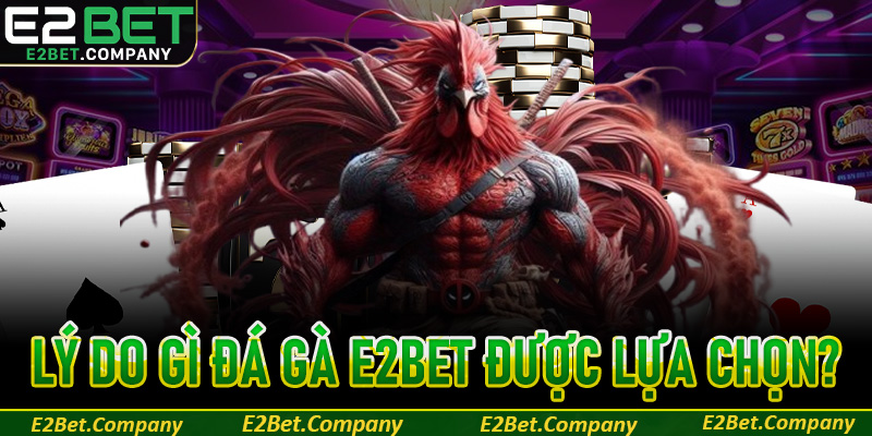 Lý do khiến đá gà tại E2BET được đông đảo người chơi lựa chọn?