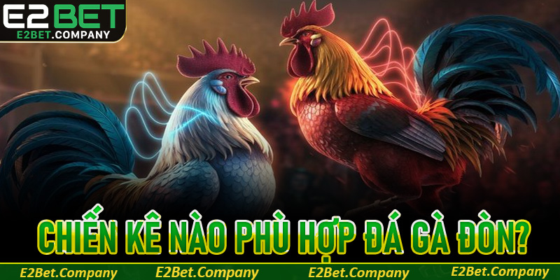 Học luật chơi đá gà đòn chi tiết nhất cho người mới