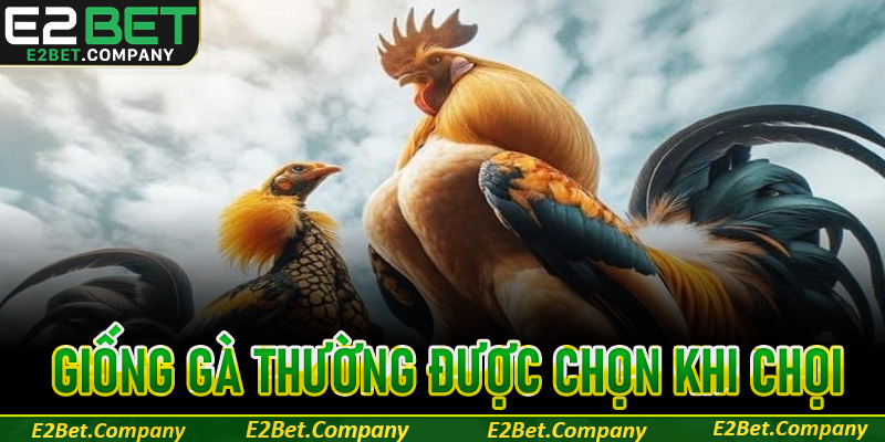 Các giống gà thường được lựa chọn trong các trận chọi kê