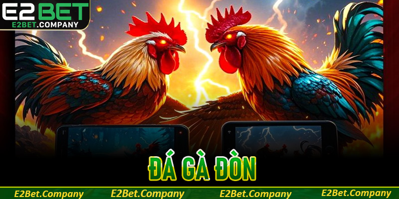Đá gà đòn