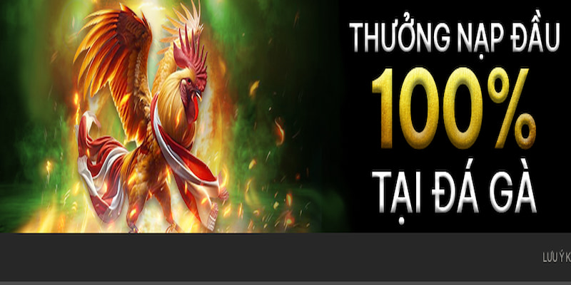 Khuyến mãi E2Bet với nhiều sự kiện hấp dẫn hiện nay
