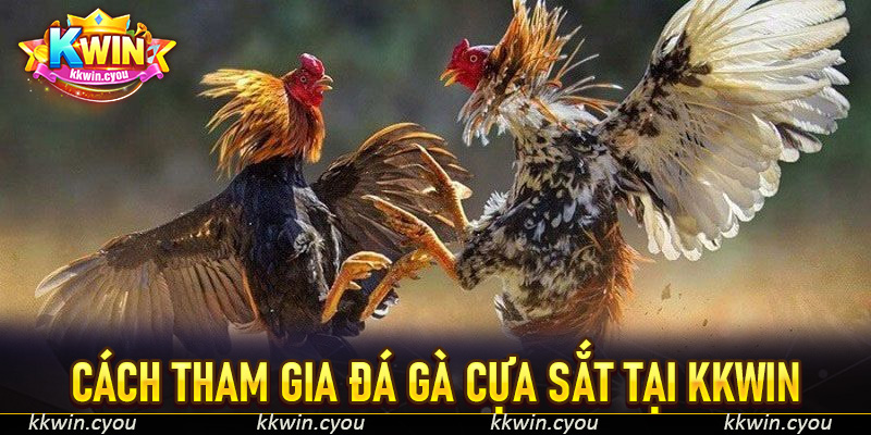Cách tham gia đá gà cựa sắt tại KKWIn