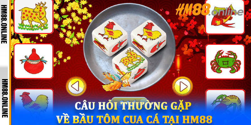 Câu hỏi thường gặp về bầu tôm cua cá tại HM88