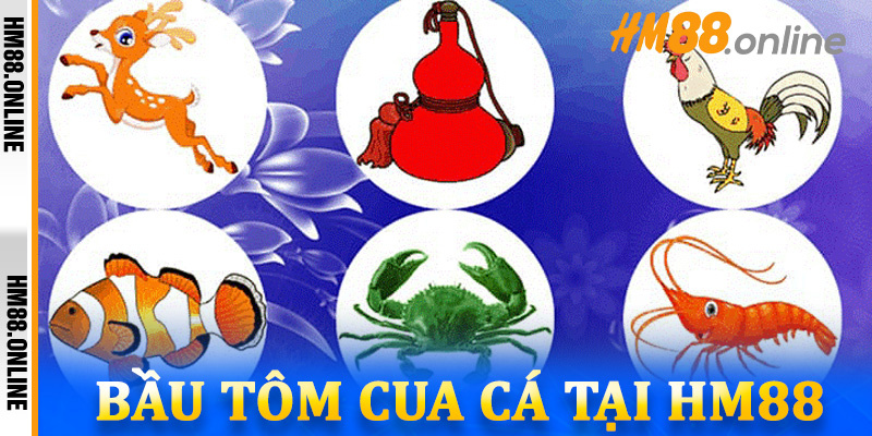 Bầu tôm cua cá